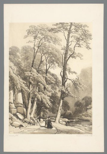 Tall trees along a forest path and a river in Rokeby Park