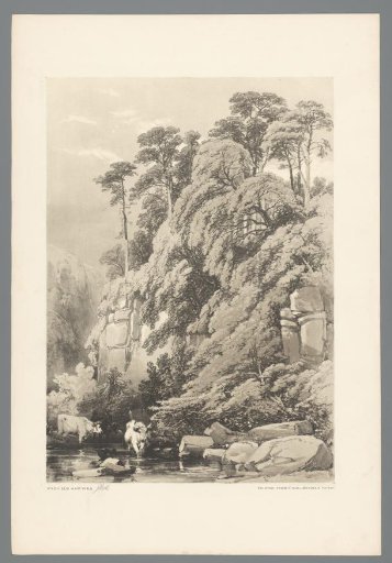 Landscape with cows where the rivers Tees and Greta meet
