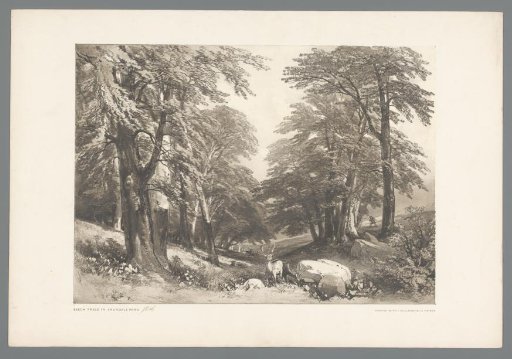 Landscape with deer and hunters in Arundel Park