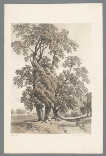 Landscape with Tall Trees by a Lake