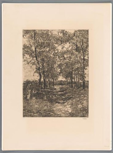 Landscape with narrow avenue