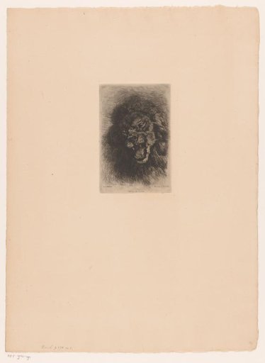 Lion's Head