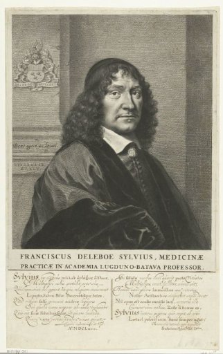 Portrait of Franciscus de le Boë Sylvius