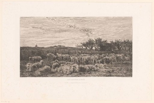 Landscape with a flock of sheep