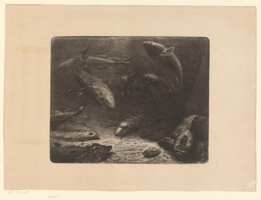 Pike, Ray, Flatfish, Crab, Eel, and Other Fish