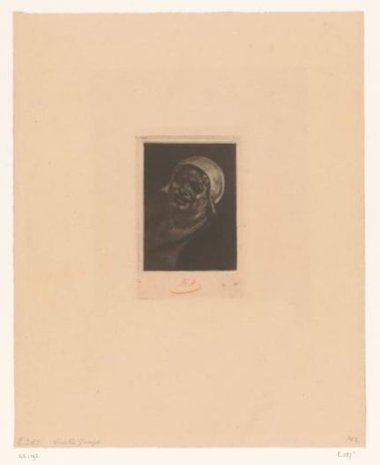 Portrait of an unknown woman
