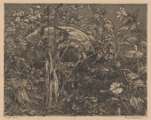 Skull among flowers in a field