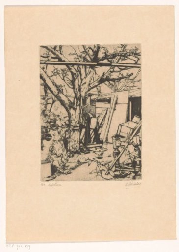 Apple tree