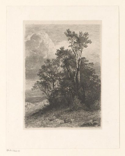 Landscape with deciduous trees