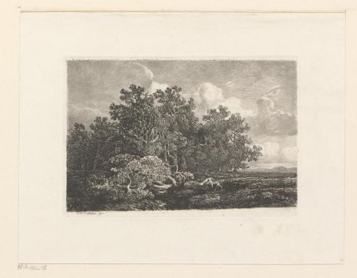 Landscape with deciduous trees and a fallen oak
