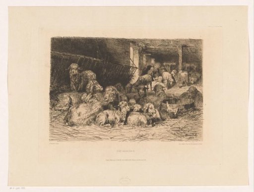 Interior of a sheepfold