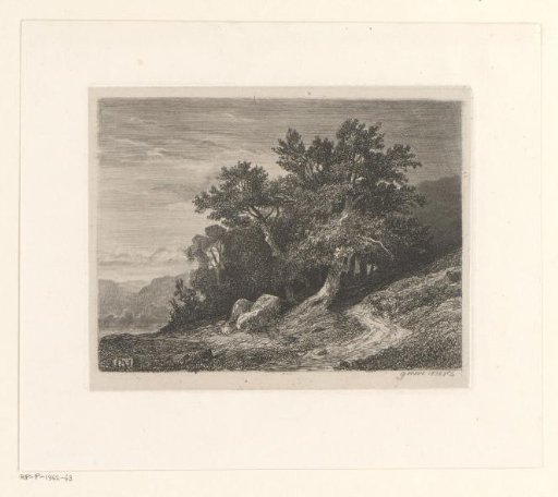 Mountain landscape with trees by a lake