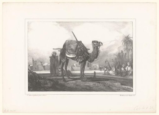 Resting place of a caravan with dromedary