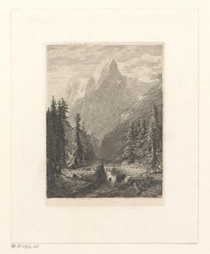 Swiss mountain landscape with pine trees by a stream