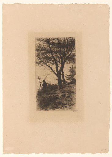 Trees and a figure on a hill