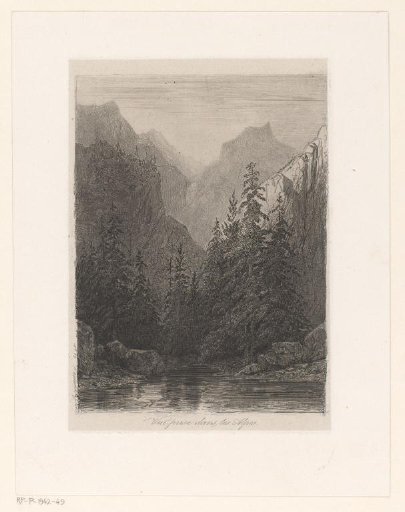 Mountain landscape with pine trees by a lake