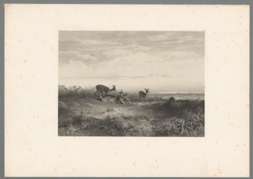 Stags in a landscape