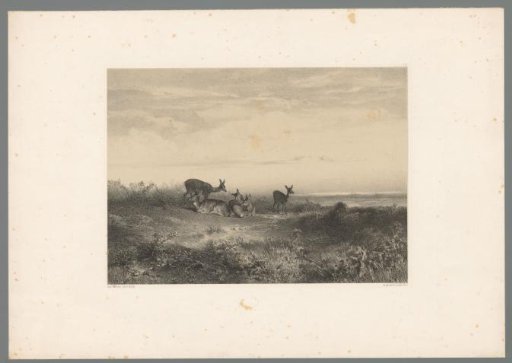 Stags in a landscape