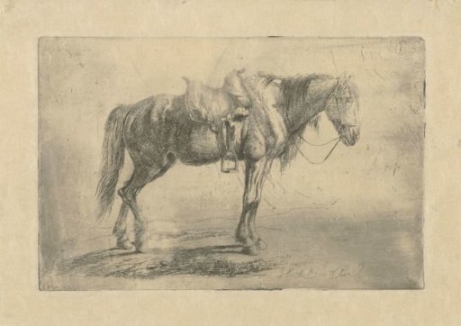 Saddled horse to the right