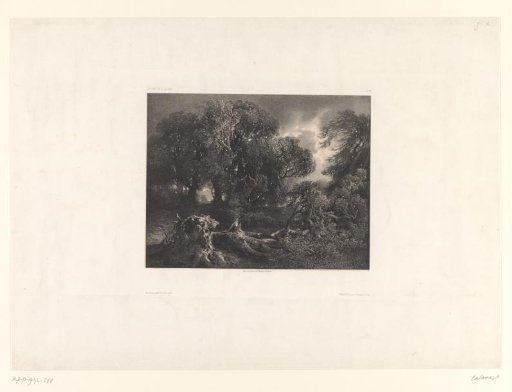 Forest landscape with stormy sky