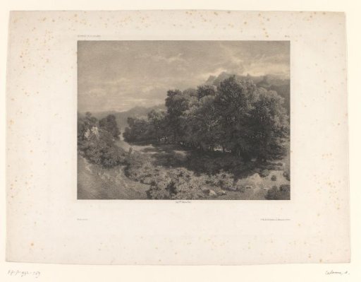 Mountain landscape with forest