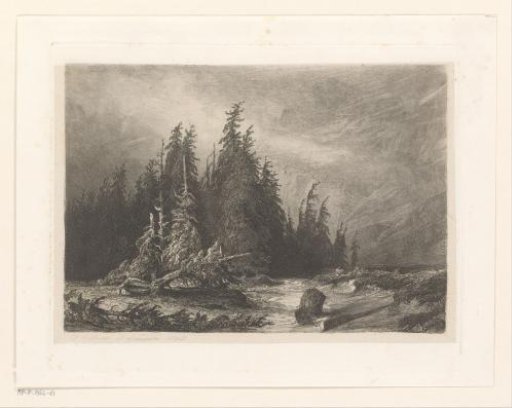 Alpine landscape with pine trees by the water