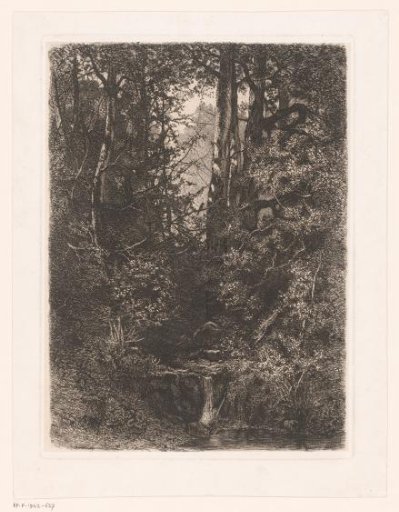 Forest view with a stream