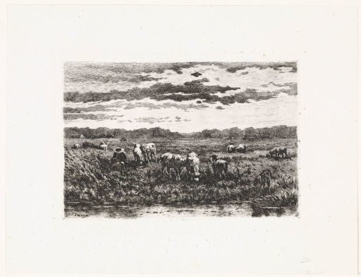 Landscape with sheep