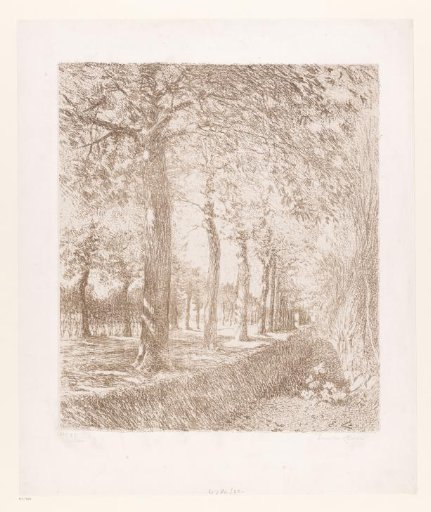 View of a ditch along a road with trees
