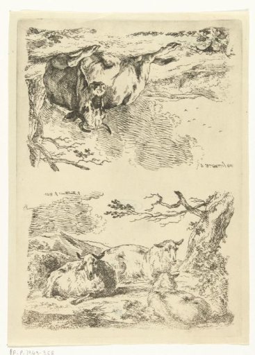Three sheep and a cow