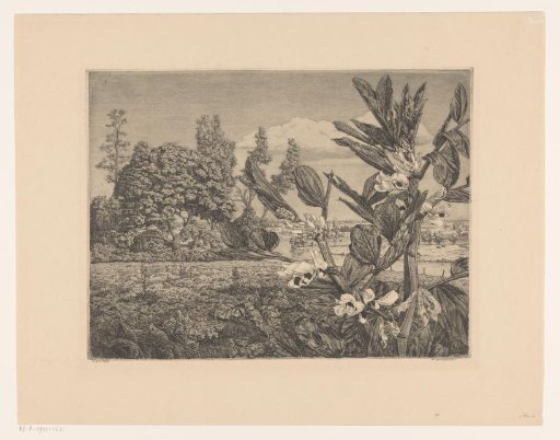 Landscape with flowers