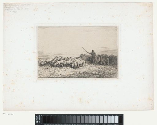 Swineherd with a herd