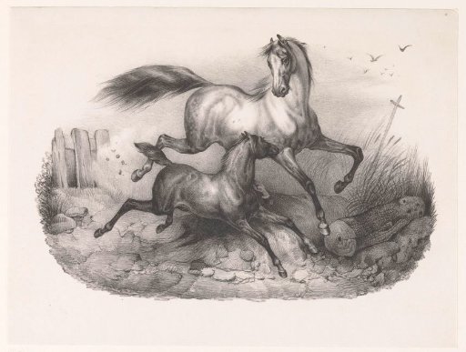 Mare with foal in gallop