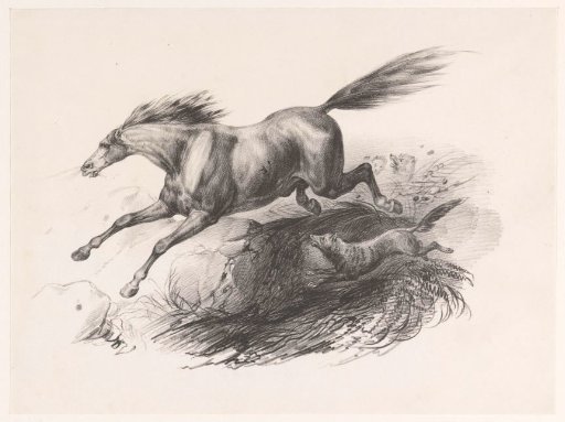 Horse chased by wolves