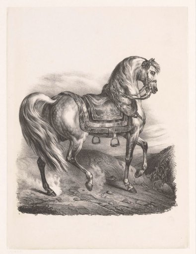 Riding horse with saddle and stirrups