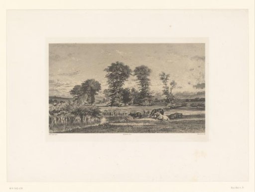Vast landscape with horses