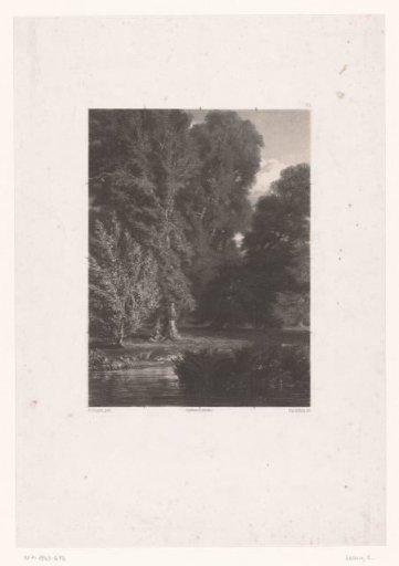 Forest landscape with figure under a tree at the water