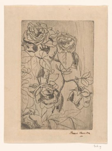 Roses