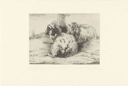 Reclining sheep