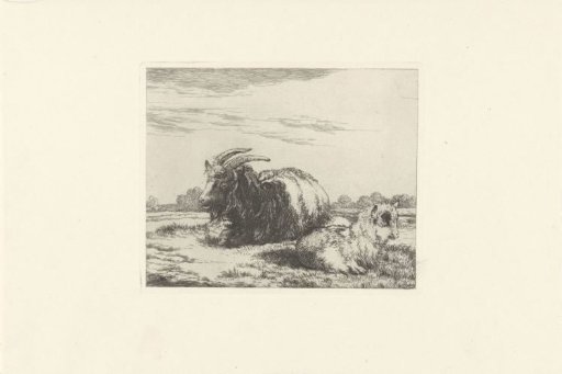 Lying billy goat and kid