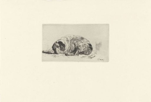 Reclining dog