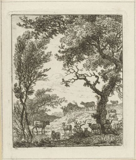 Landscape with a herd of cattle