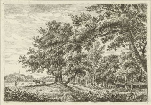 Landscape with two cows