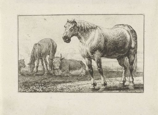 Horses and Cows