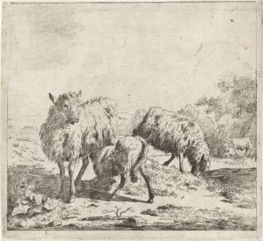 Two sheep and a lamb