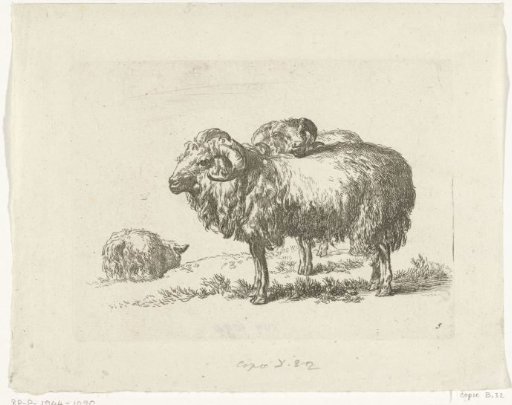 Two Rams and a Sheep