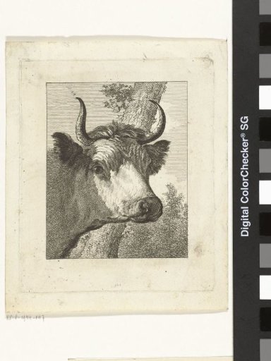Cow's head facing right