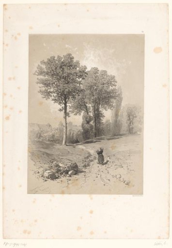 Woman with firewood on the path among trees