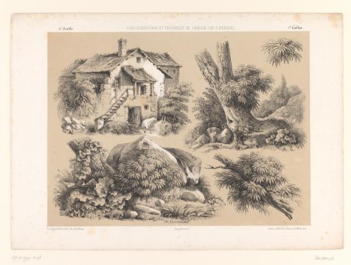 Four studies of landscape elements