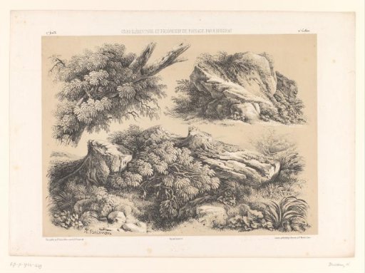 Three studies of landscape elements